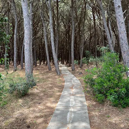 Club - Free Pool & Private Perfect For Families *