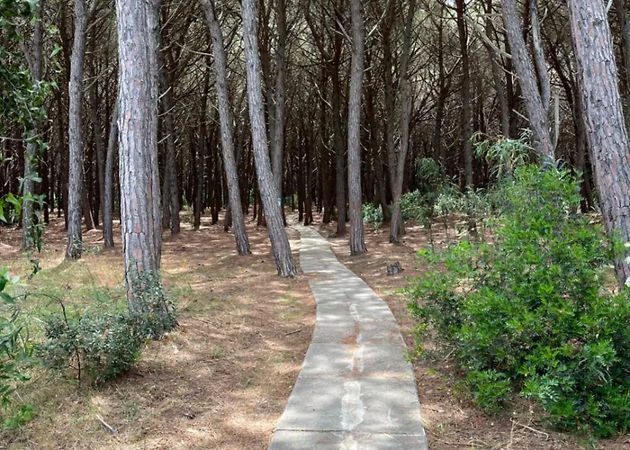 Club - Free Pool & Private Perfect For Families *